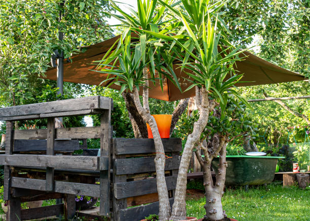 landscape with garden in summer, decorative objects, garden lighting, small garden in summer, summer