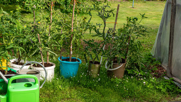 istock landscape with garden in summer, decorative objects, garden lighting, small garden in summer, summer 2158576470