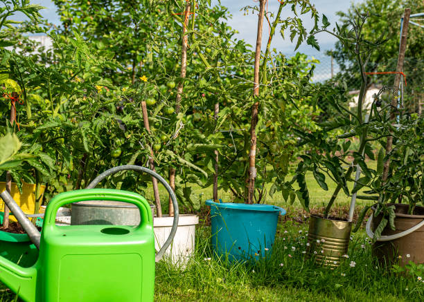 istock landscape with garden in summer, decorative objects, garden lighting, small garden in summer, summer 2158576510