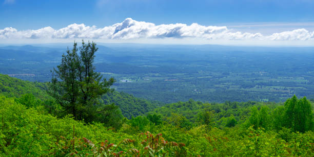 Shenandoah National Park, Virginia