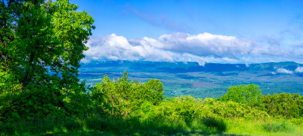 Shenandoah National Park, Virginia