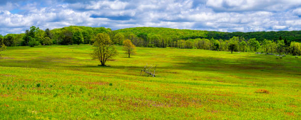 Big Meadows at Shenandoah National Park, Virginia