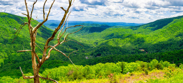 Shenandoah National Park, Virginia