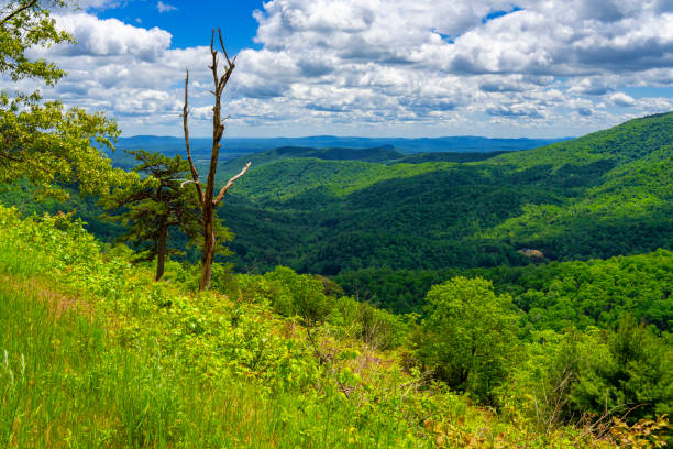 istock Shenandoah National Park, Virginia 2158583955