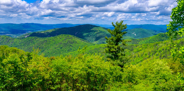 istock Shenandoah National Park, Virginia 2158584256