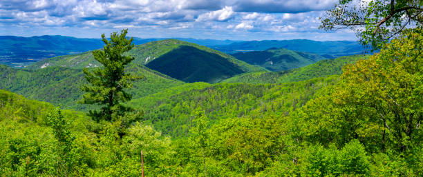 istock Shenandoah National Park, Virginia 2158584264