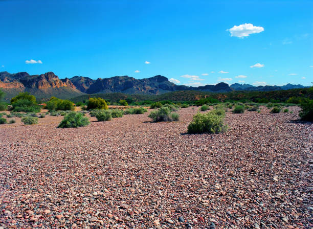 Salt River Arizona recreation area, Desert Mountains, east of Phoenix Arizona