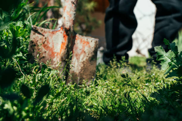 istock A person is standing in a field with a shovel and a rake 2158585978