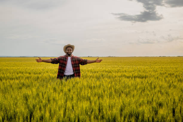istock Farmer with arms outstretched  standing  in wheat field 2158596236