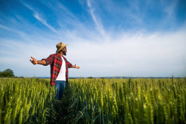 istock Farmer with arms outstretched  standing  in wheat field 2158596308
