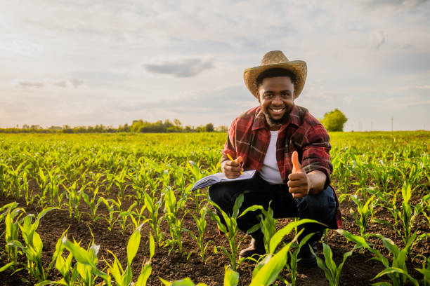 istock Farmer  writing notes in his  corn field and showing thumb up 2158596483