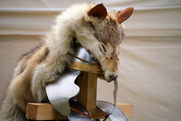 istock Armor and helmet with wolf skin for ancient Roman warriors 2158596825