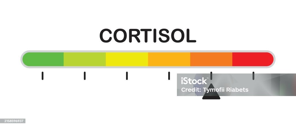 Cortisol Color Color Scale Cortisol Level Indicator Stress And Anxiety Measurement ...