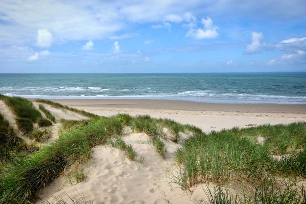 istock The sand dunes system at Morfa Harlech National Nature Reserve, Harlech beach, Eryri, also known as Snowdonia, North Wales. 2158598226