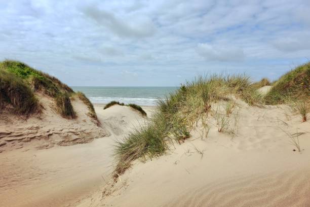 istock The sand dunes system at Morfa Harlech National Nature Reserve, Harlech beach, Eryri, also known as Snowdonia, North Wales. 2158598283