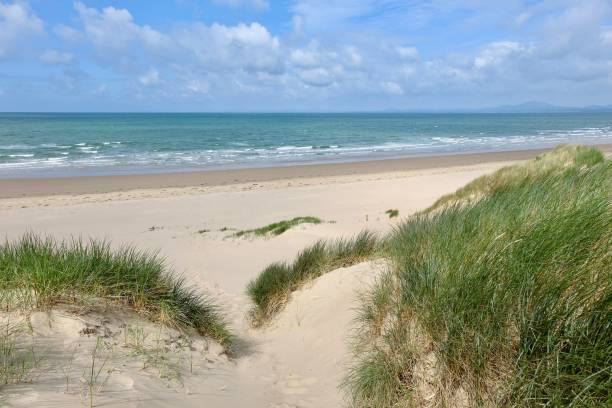 istock The sand dunes system at Morfa Harlech National Nature Reserve, Harlech beach, Eryri, also known as Snowdonia, North Wales. 2158598302