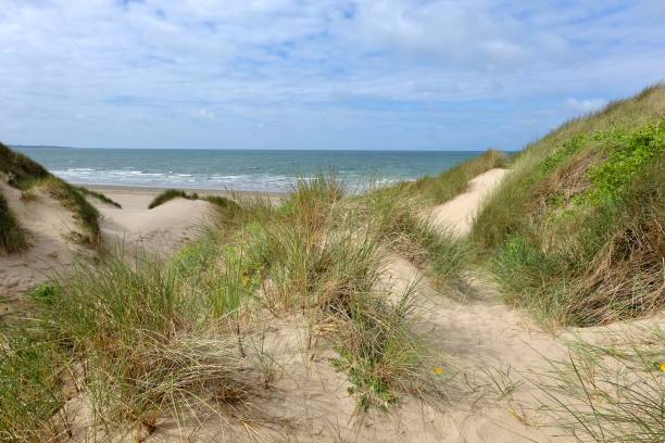 istock The sand dunes system at Morfa Harlech National Nature Reserve, Harlech beach, Eryri, also known as Snowdonia, North Wales. 2158598323