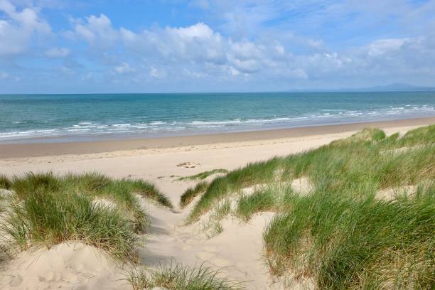istock The sand dunes system at Morfa Harlech National Nature Reserve, Harlech beach, Eryri, also known as Snowdonia, North Wales. 2158598340