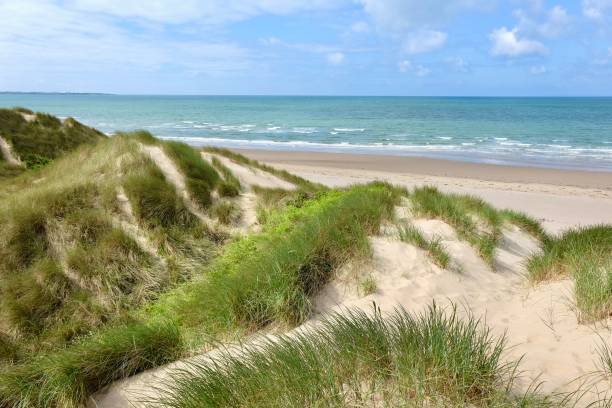 istock The sand dunes system at Morfa Harlech National Nature Reserve, Harlech beach, Eryri, also known as Snowdonia, North Wales. 2158598354