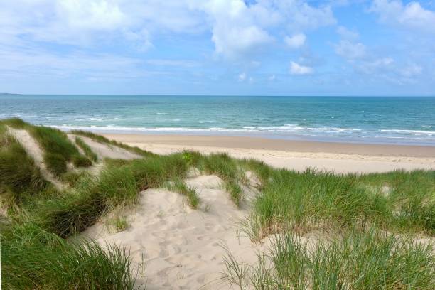 istock The sand dunes system at Morfa Harlech National Nature Reserve, Harlech beach, Eryri, also known as Snowdonia, North Wales. 2158598393