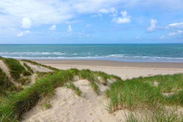 istock The sand dunes system at Morfa Harlech National Nature Reserve, Harlech beach, Eryri, also known as Snowdonia, North Wales. 2158598395