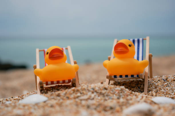 Beach Holiday concept, two rubber ducks sat in miniature deckchairs on Pedn Vounder Beach, south Cornwall.