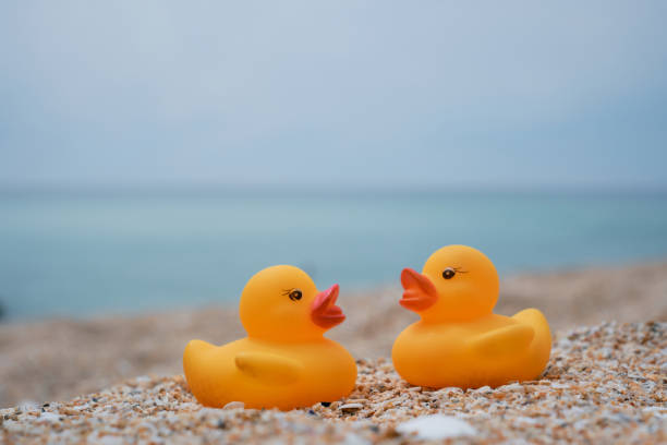 Beach holiday, romance, friendship concept, two rubber ducks facing one another on Pedn Vounder beach, South Cornwall.