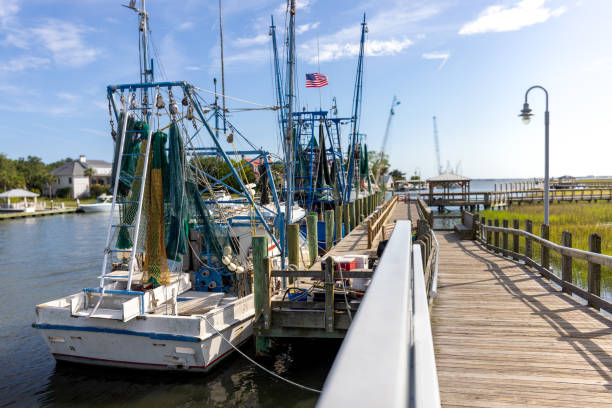 Shrimp boats docked in Shem Creek