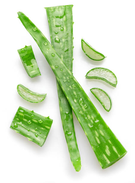 istock Fresh cuts of aloe Vera leaf covered with water drops isolated on white background. Top view. 2158604876