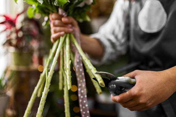 istock Young Florist Cutting Flowers 2158606149