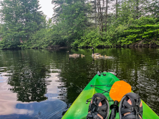 istock POV of man doing relaxing kayak 2158607113