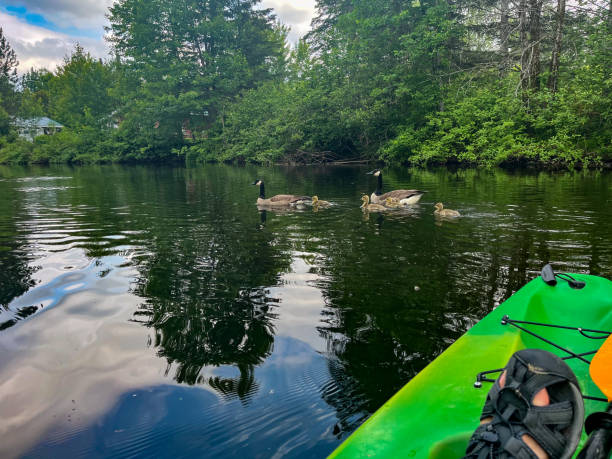 POV of man doing relaxing kayak