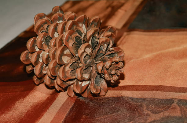Close-up of a pine cone on a table