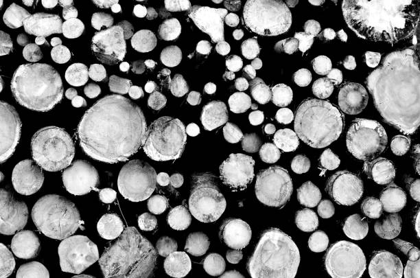 Close-up of a stack of wood from the front
