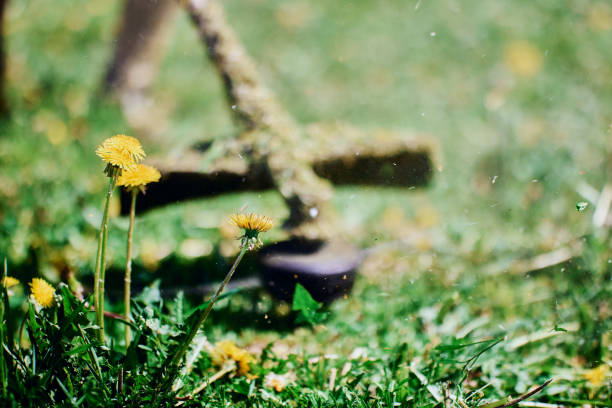 istock Weeds in front of defocused working drum head of  string trimmer. 2158617995