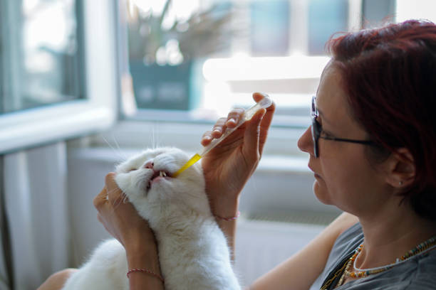 istock Cat taking its daily dose of a cough curative medicine 2158623260