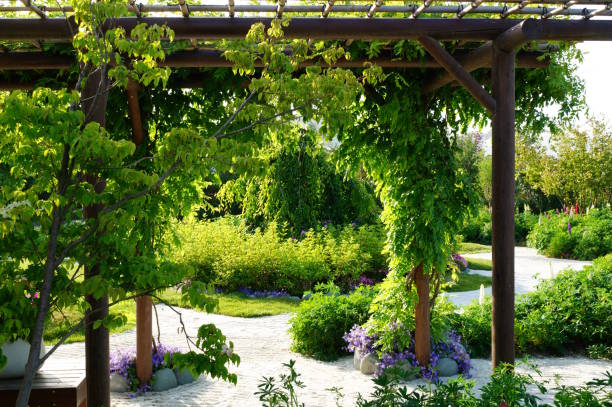 istock A beautiful natural park with trees and shrubs. 2158629186