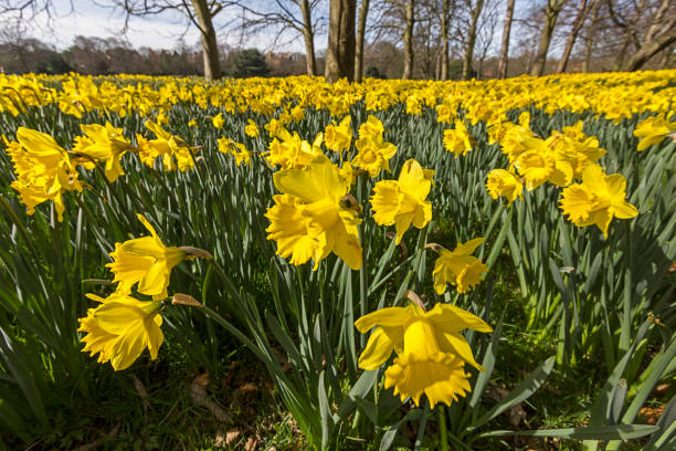 istock Field Of Hope Liverpool 2158632386