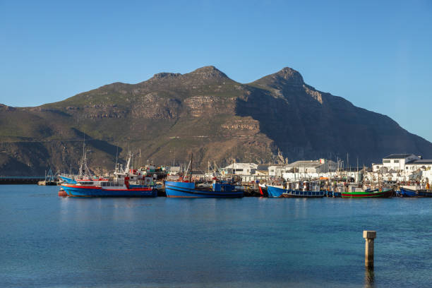 Cape Town, South Africa - October 5, 2019: A commercial line fishing boat heads out to sea in the Atlantic Ocean from the traditional fishing harbor at Kalk Bay (Kalkbaai in Afrikaans), a picturesque seaside village within the Cape Town metropolitan area.