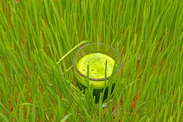 istock Wheat grass glass shot 2158634141