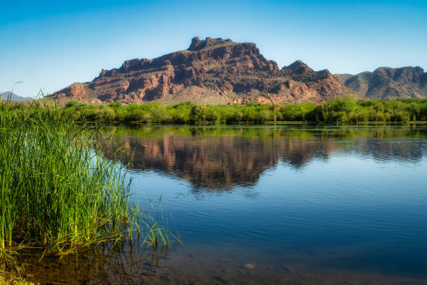istock Early Morning on the Salt River 2158635721
