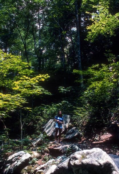 istock Great Smoky Mountains NP - On the Trail - 1976 2158638293