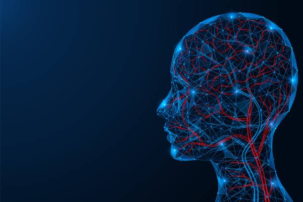 istock Veins and arteries of the human head. 2158638635