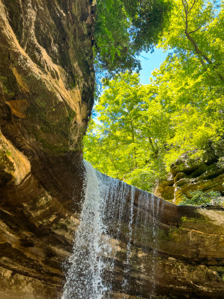 Waterfall in a Sandstone Canyon with Beautiful Rock Formations Waterfall in a Sandstone Canyon with Beautiful Rock Formations. Green leafy trees surround the scene. Located within Starved Rock State Park in LaSalle County, Illinois, USA. illinois nature stock pictures, royalty-free photos & images
