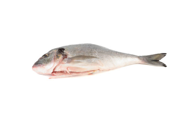 istock Ready to cook cleaned dorado fish on white background. 2158642616
