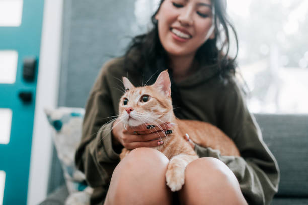 istock Woman Cuddles Cat At Home 2158649465