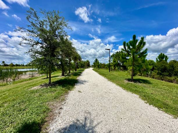 istock White gravel walk trail surrounded by Oak and Pine trees 2158649685