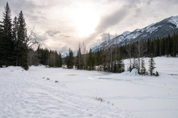 istock Snowy Winter Landscape in Banff, Canada 2158652167