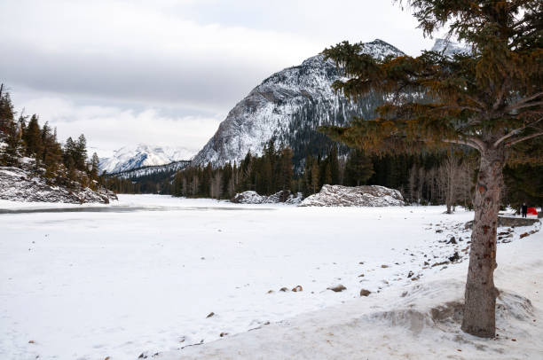 Majestic snowy landscapes in Banff, Canada, featuring pristine white snow covering the ground and surrounding trees. The Rocky Mountains provide a breathtaking backdrop, with their peaks dusted in snow. The serene environment is perfect for winter activities such as skiing and snowboarding. The crisp, cold air and clear blue sky create a picturesque winter wonderland.