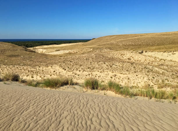 istock Sand dunes of the Lithuanian Baltic coast. 2158653069